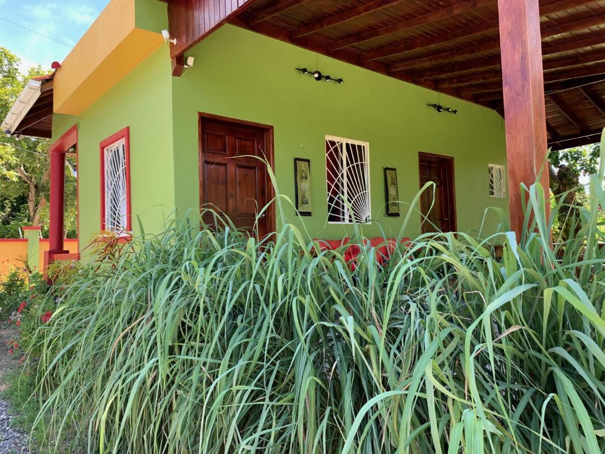 Green Queendom Farm And Lodging Oracabessa Exteriér fotografie